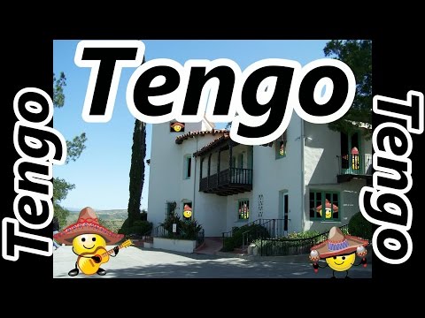 TENER (To Have) Verb Song - Present Tense - Spanish Conjugation - La Conjugación del Verbo TENER
