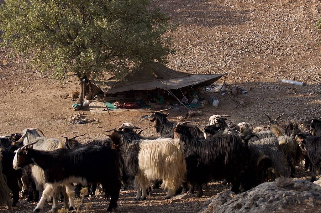 Bakhtiari nomad camp in Bazoft