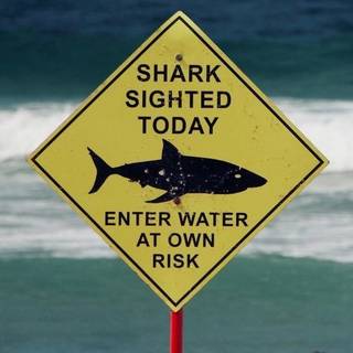 Ein Schild am Strand warnt: Shark sighted today. Enter water at own risk.