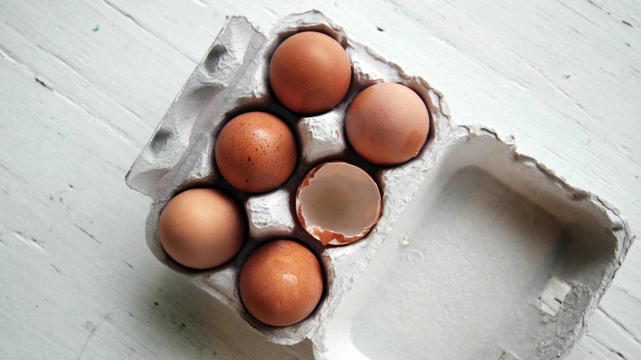 Fünf heile Eier und ein kaputtes Ei