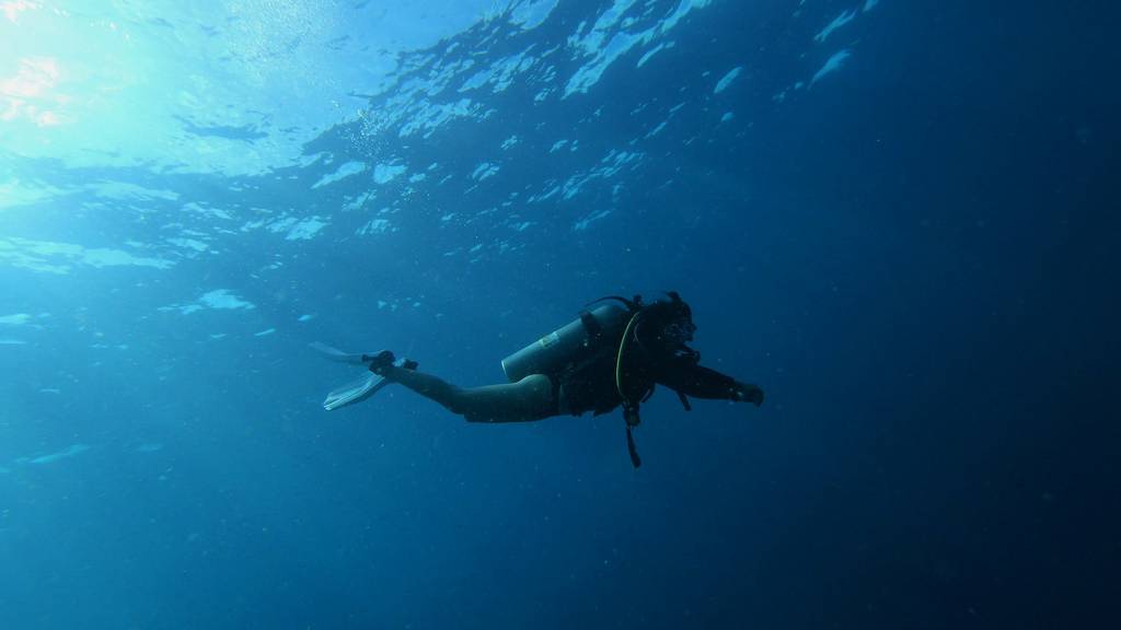 Ein Taucher mit Tauchausrüstung taucht unter Wasser.